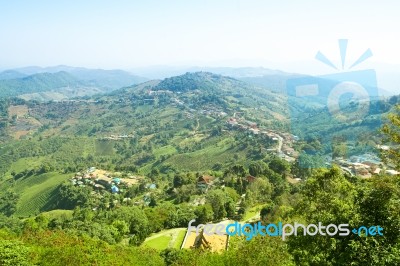 Nature View Mountain, Forest And Blue Sky Stock Photo