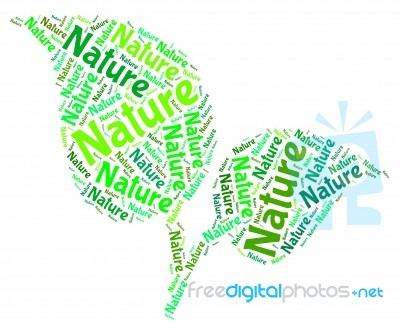 Nature Word Representing Countryside Natural And Scenic Stock Image