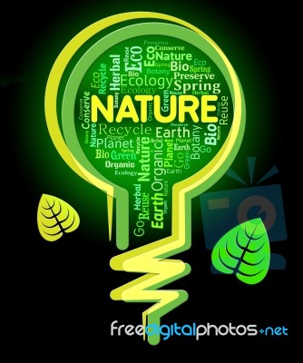 Nature Words Shows Light Bulb And Environment Stock Image