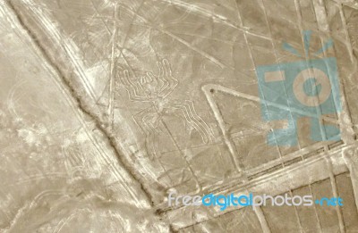 Nazca Lines And Spider Figure Stock Photo