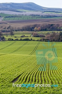 Near Seaford, Sussex/uk - April 5 : View Of  Farmland Near Seafo… Stock Photo