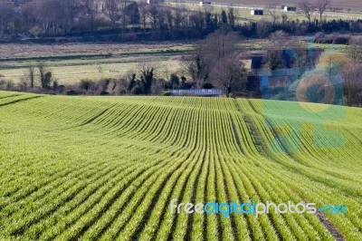 Near Seaford, Sussex/uk - April 5 : View Of  Farmland Near Seafo… Stock Photo