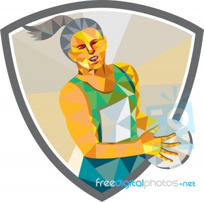 Netball Player Holding Ball Low Polygon Stock Image