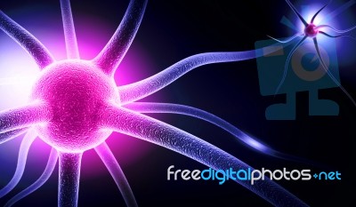 Neuron Stock Image