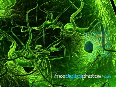 Neuron Stock Image