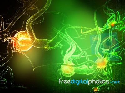 Neuron Stock Image