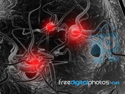 Neuron Stock Image