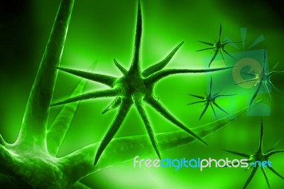 Neuron Stock Image