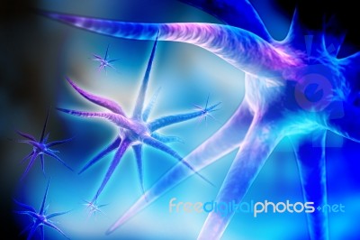 Neuron Stock Image