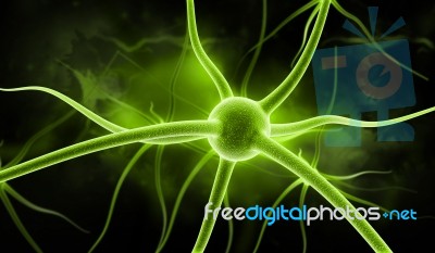 Neuron Stock Image