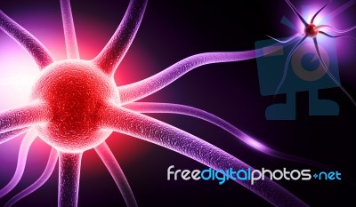 Neuron Stock Image