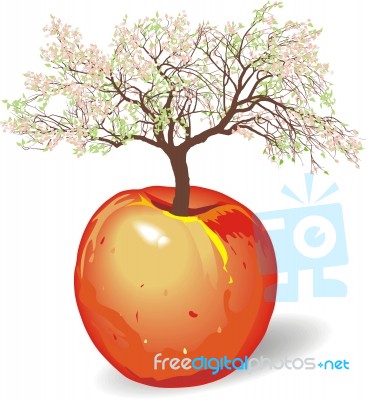 New Apple Tree In Spring Stock Image