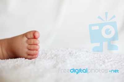 New Born Baby Feet Stock Photo