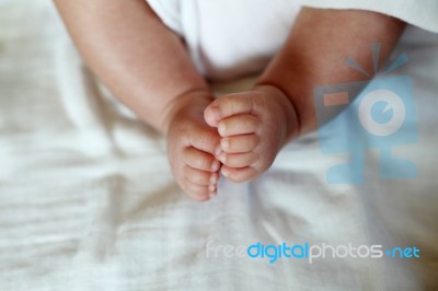 New Born Baby Feet Stock Photo