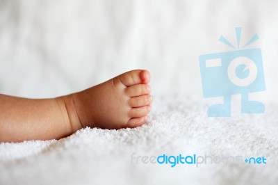 New Born Baby Foot Stock Photo