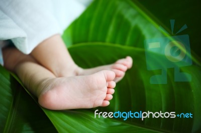 New Born Baby Foot On Green Leaf Stock Photo