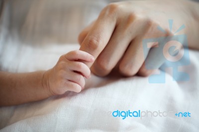 New Born Baby's Hand Gripping Mother Finger Stock Photo