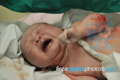 New Born Infant Stock Photo