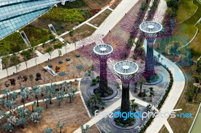 New Botanical Gardens Under Construction In Singapore Stock Photo