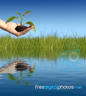 New Life Concept Stock Photo