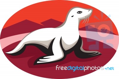 New Zealand Fur Seal Retro Stock Image