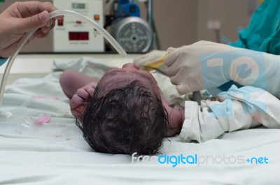 Newborn Stock Photo