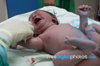 Newborn Stock Photo