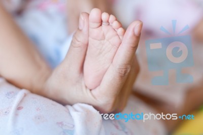 Newborn Baby Feet Stock Photo