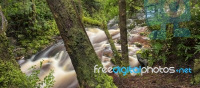 Newell Creek In Tasmania Stock Photo