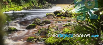 Newell Creek In Tasmania Stock Photo