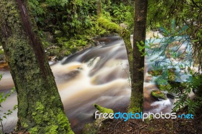 Newell Creek In Tasmania Stock Photo