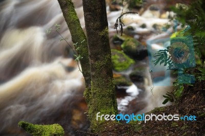 Newell Creek In Tasmania Stock Photo