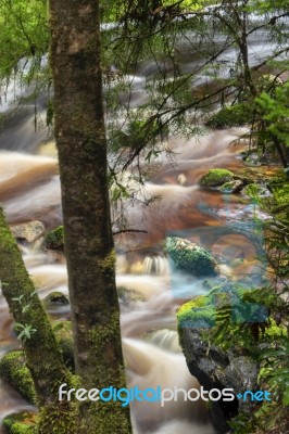 Newell Creek In Tasmania Stock Photo