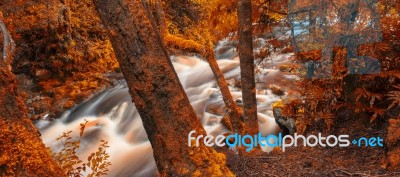 Newell Creek In Tasmania Stock Photo