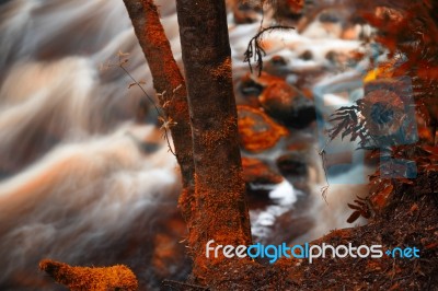 Newell Creek In Tasmania Stock Photo