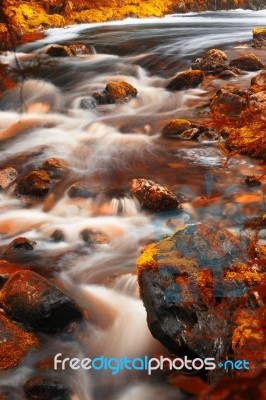 Newell Creek In Tasmania Stock Photo