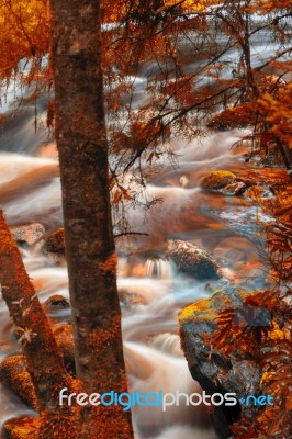 Newell Creek In Tasmania Stock Photo