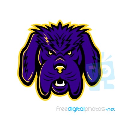 Newfoundland Dog Mascot Angry Stock Image