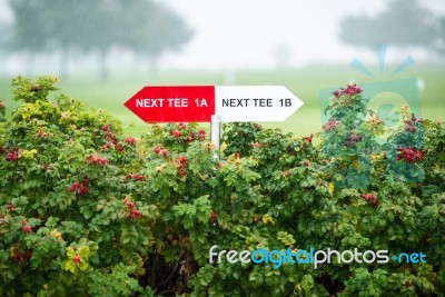 Next Tee Sign Stock Photo