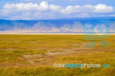 Ngorongoro Crater In Tanzania Stock Photo