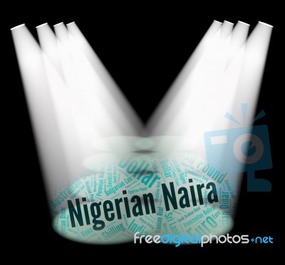 Nigerian Naira Means Foreign Currency And Forex Stock Image