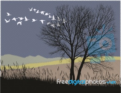 Night Migration Of Wild Geese Stock Image