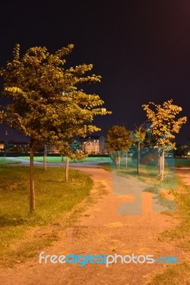 Night Public Park In The City With Houses Near Stock Photo