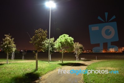 Night Public Park In The City With Houses Near Stock Photo