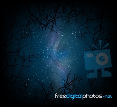 Night Scene With Trees Stock Image