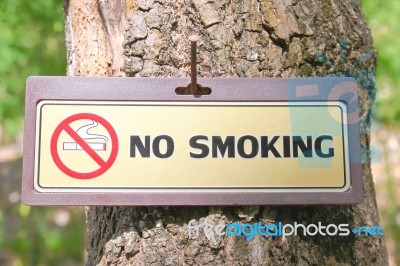 No Smoking In Park  Stock Photo