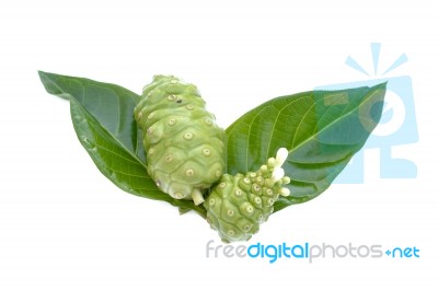 Noni Stock Photo