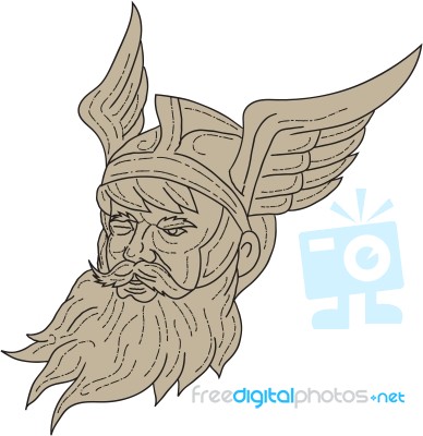 Norse God Odin Head Drawing Stock Image