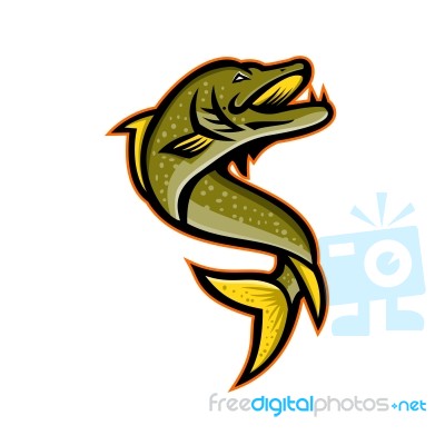 Northern Pike Sports Mascot Stock Image