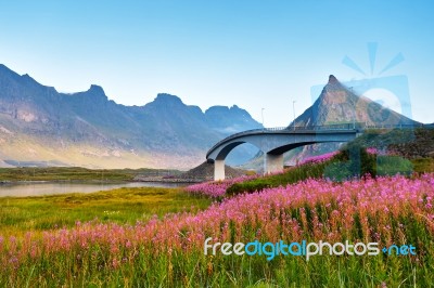 Norway Sunny Summer Day. Bridge Over The Fjord Stock Photo